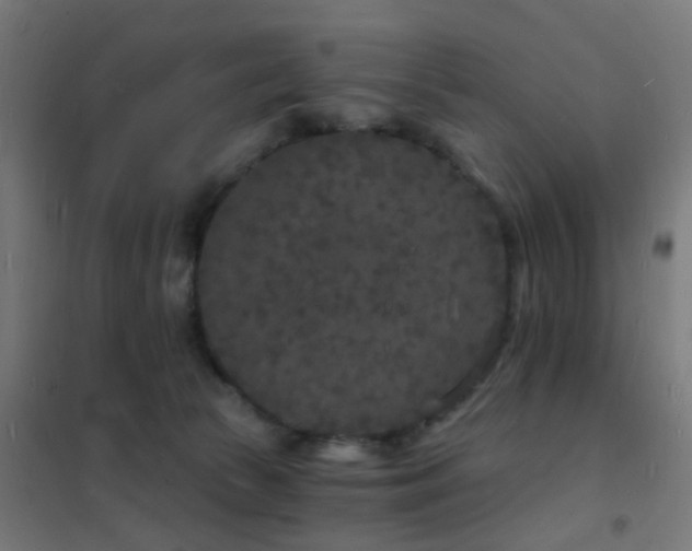 X0000102220177200807251219