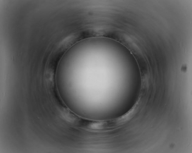 X0000102220178200807251219