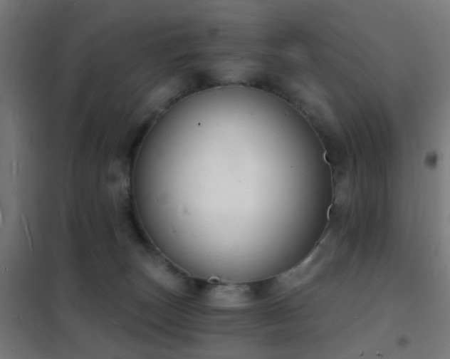 X0000102220179200807251219