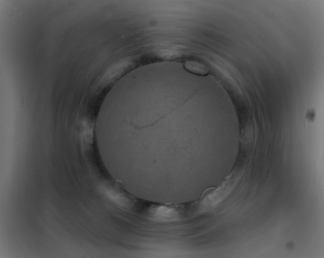 X0000102220180200807251219