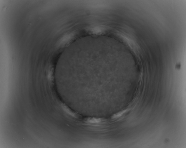 X0000102220181200807251219