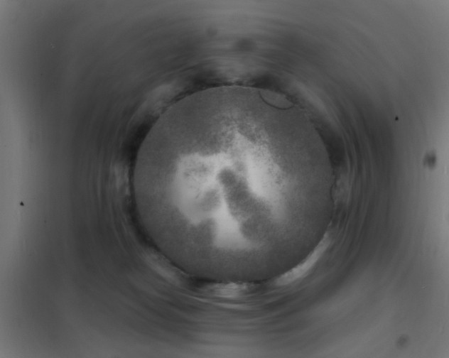 X0000102220182200807251219