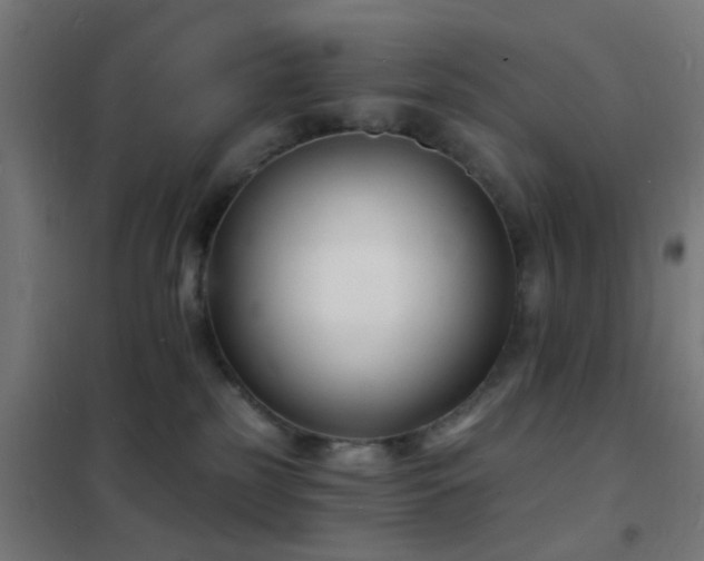 X0000102220185200807251219