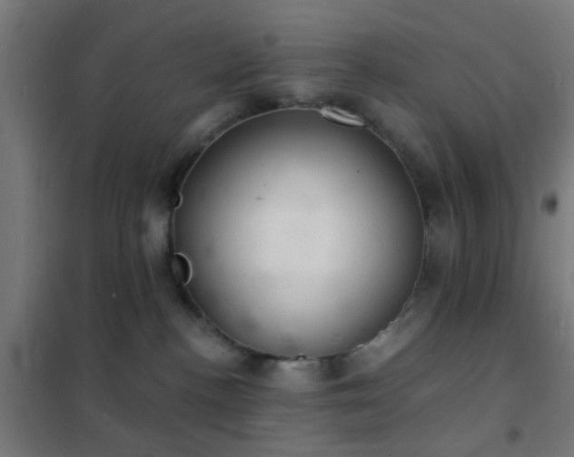 X0000102220188200807251219