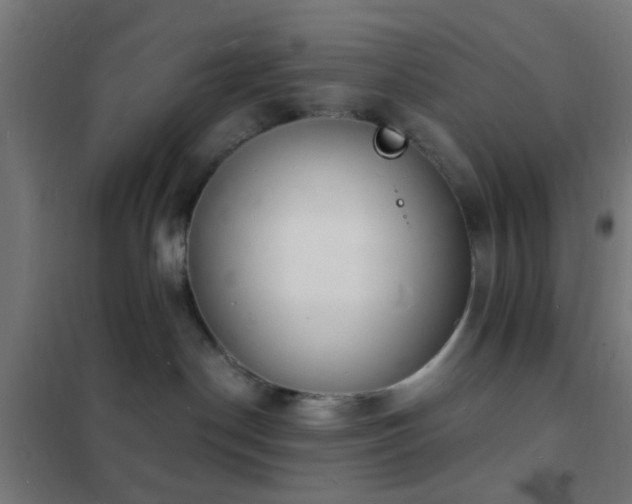 X0000102220190200807251219