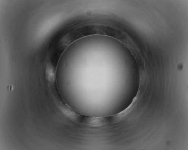 X0000102220191200807251220