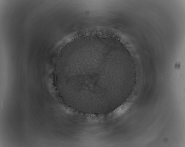 X0000102220192200807251220