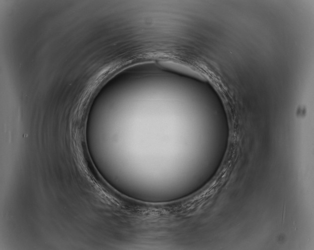 X0000102220193200807251219