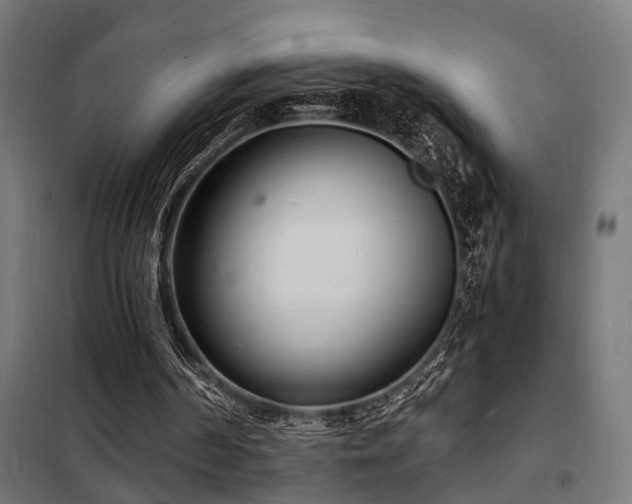 X0000102220194200807251219