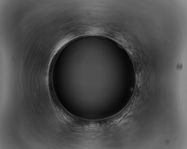 X0000102220196200807251219