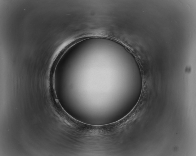 X0000102220200200807251219