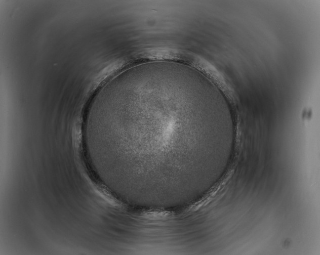 X0000102220202200807251219