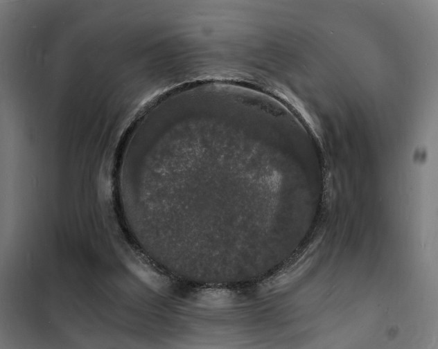 X0000102220203200807251219