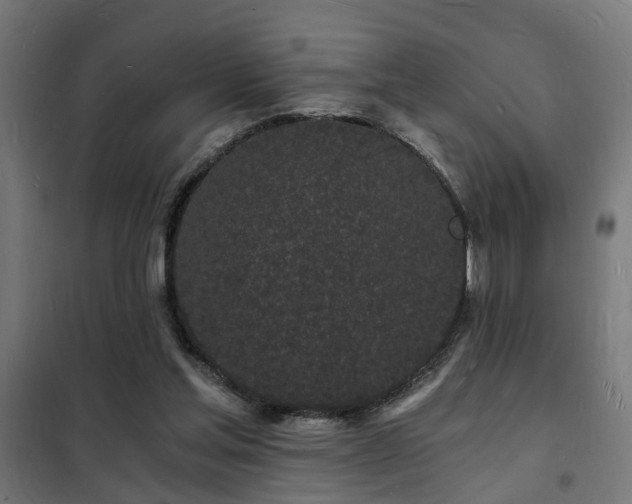 X0000102220205200807251219