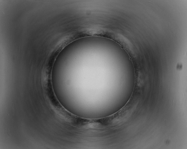 X0000102220210200807251218