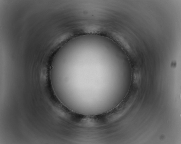 X0000102220211200807251218