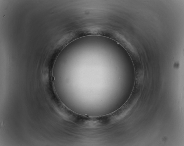 X0000102220213200807251218