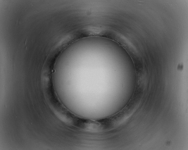 X0000102220215200807251218