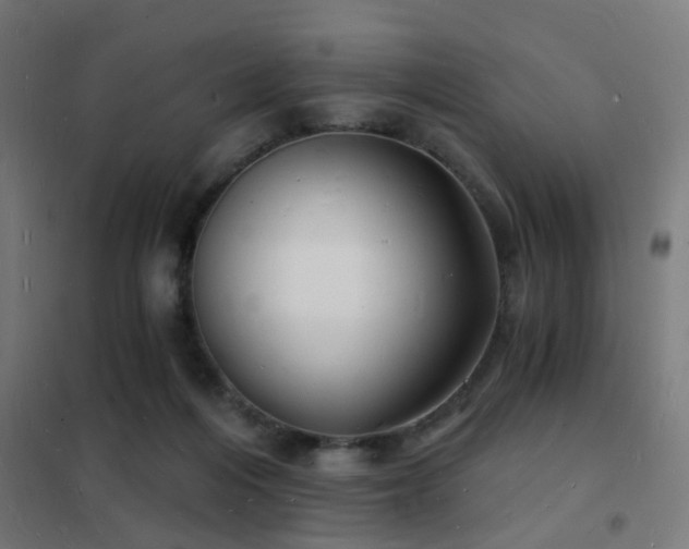 X0000102220216200807251218