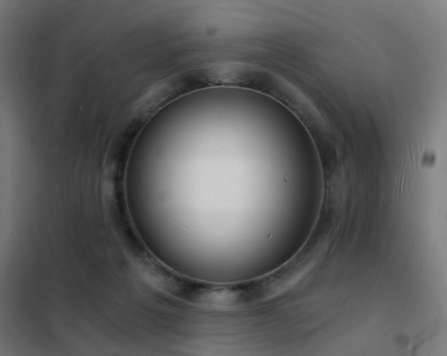 X0000102220217200807251218