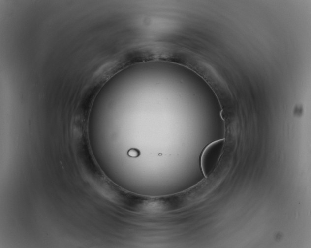 X0000102220218200807251218