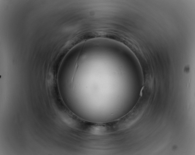 X0000102220220200807251218