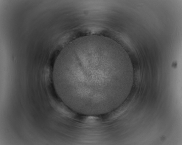 X0000102220222200807251218