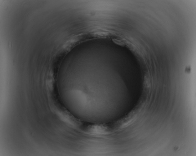 X0000102220223200807251218