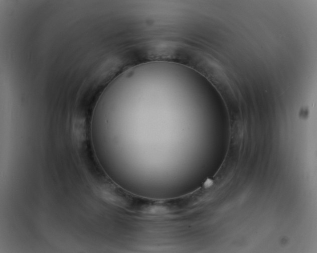 X0000102220224200807251218