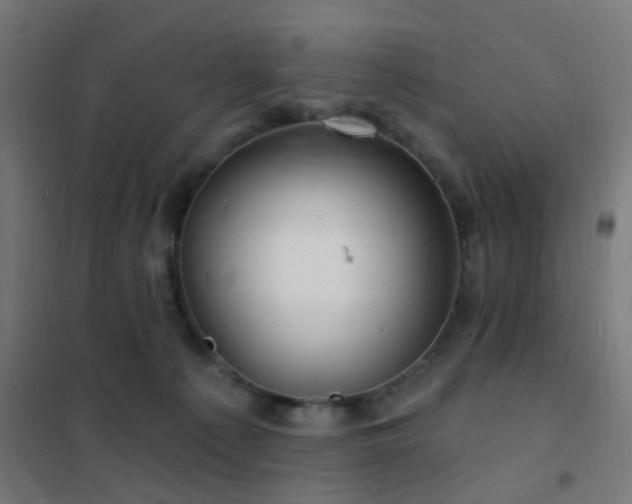 X0000102220225200807251218