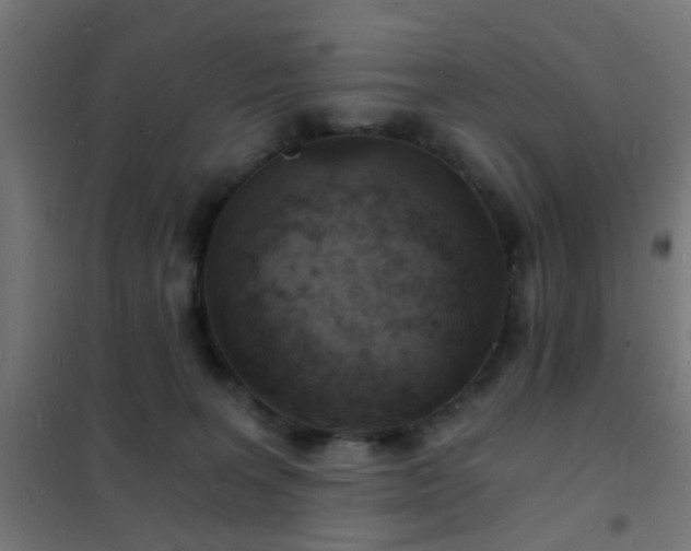 X0000102220227200807251218