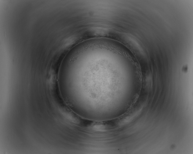 X0000102220228200807251218