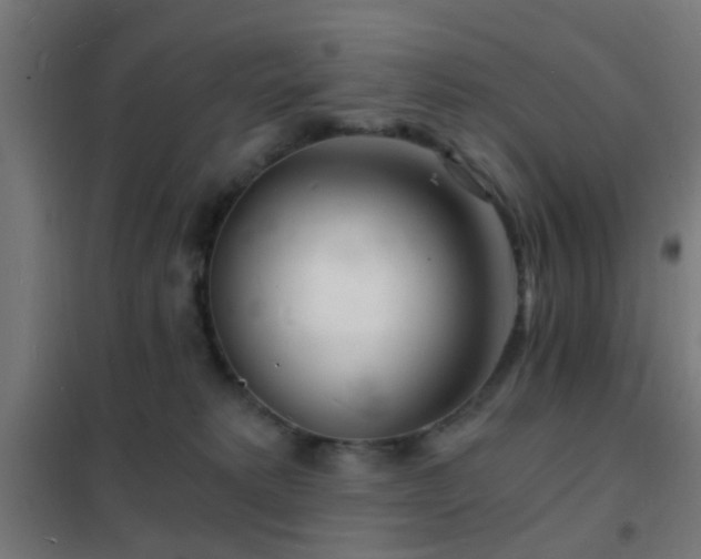 X0000102220229200807251218