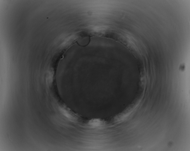 X0000102220231200807251218