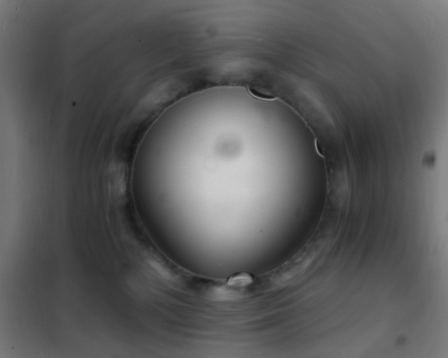 X0000102220232200807251218