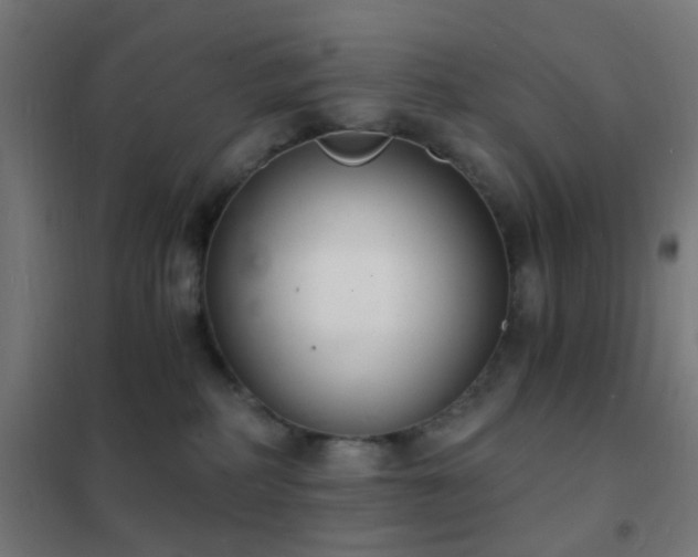 X0000102220234200807251218