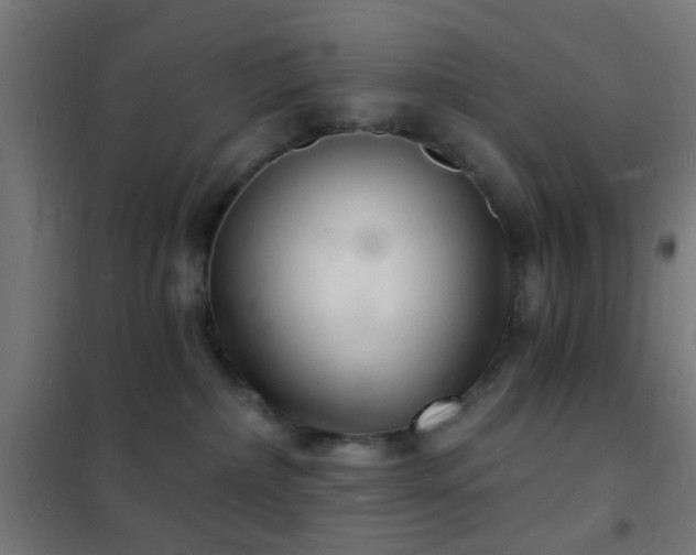 X0000102220236200807251218