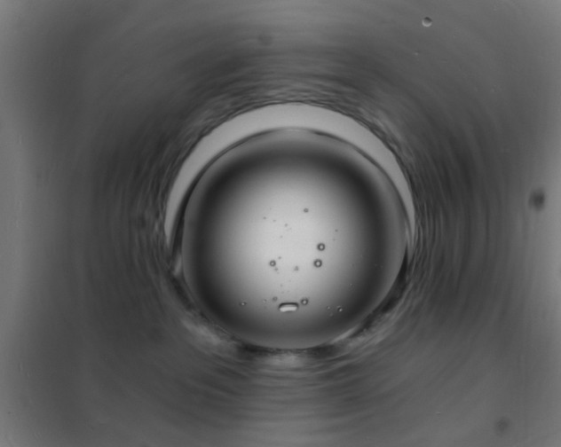 X0000102220237200807251218