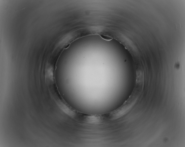 X0000102220238200807251218