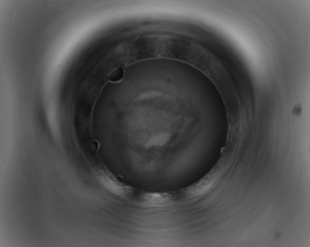 X0000102220239200807251218