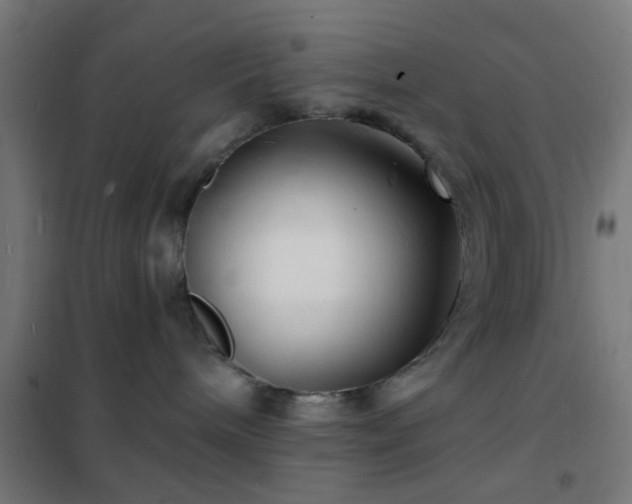 X0000102220240200807251218