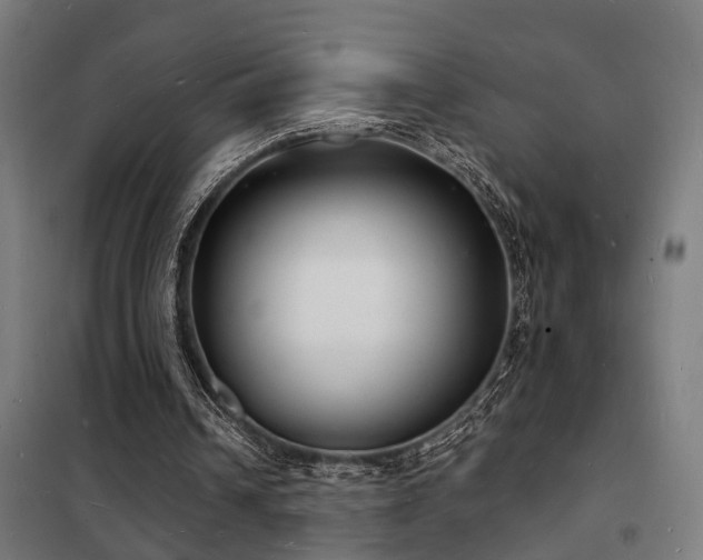 X0000102220242200807251217