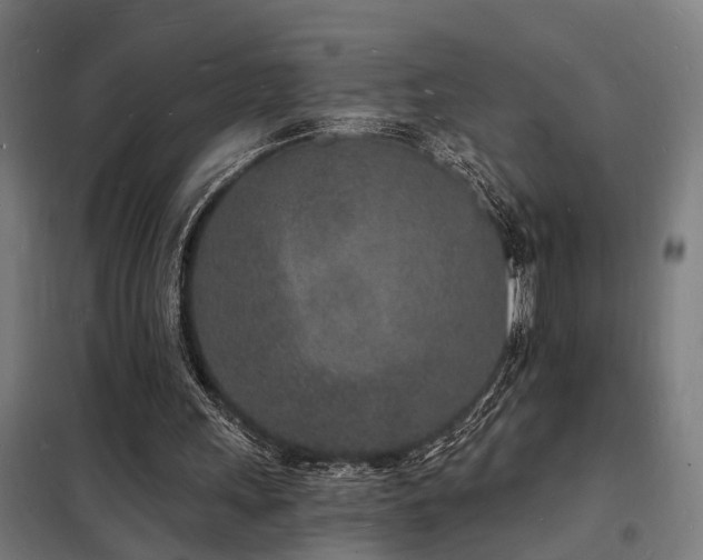 X0000102220243200807251217