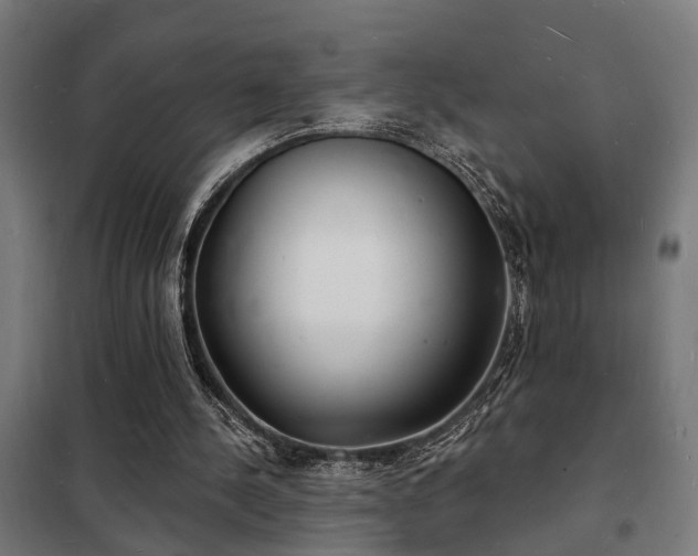 X0000102220244200807251217