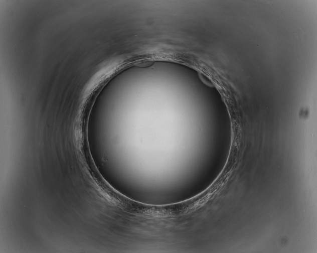 X0000102220245200807251217