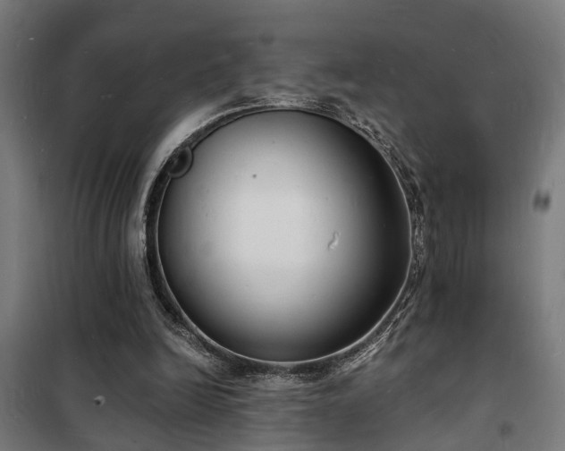 X0000102220246200807251217