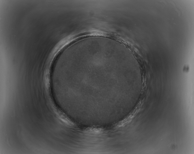 X0000102220247200807251217