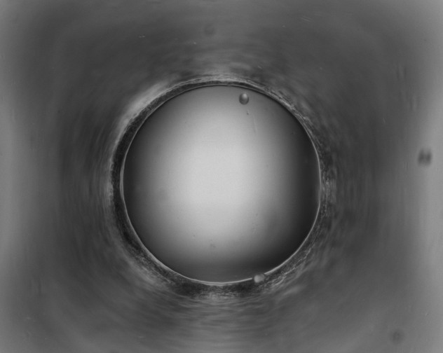 X0000102220248200807251217