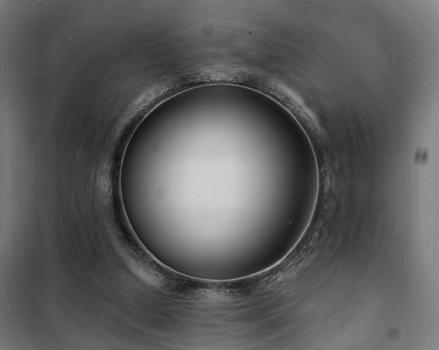 X0000102220250200807251217