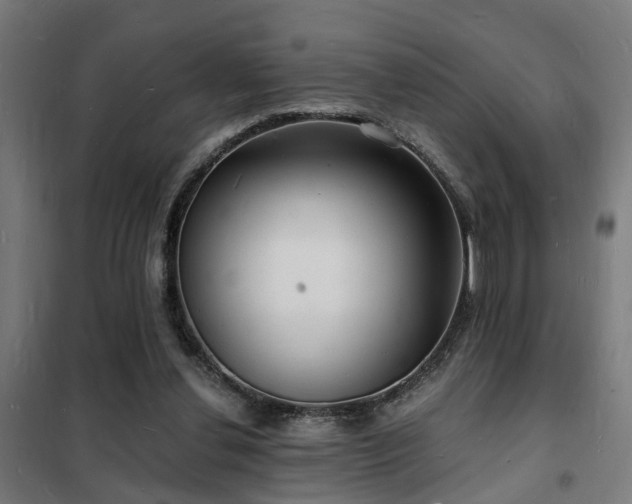 X0000102220252200807251217